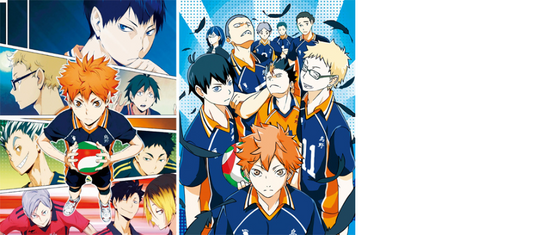 Haikyu!! - (Lycée Karasuno)