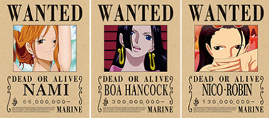 One Piece - Wanted (Nami | Boa Hancock | Nico Robin)